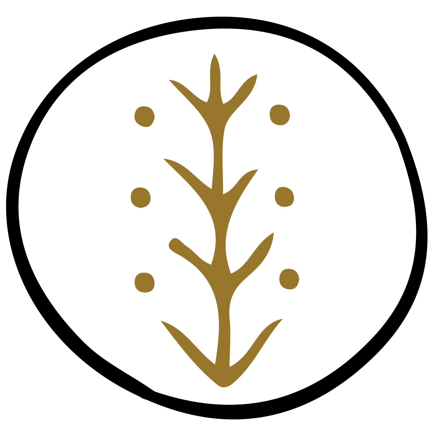 ROCIO FERNANDEZ DELKADER